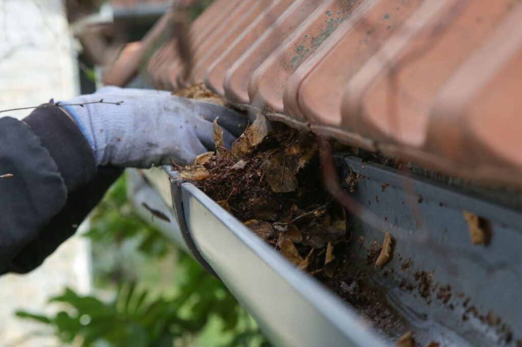 Gutter Cleaning Kensington