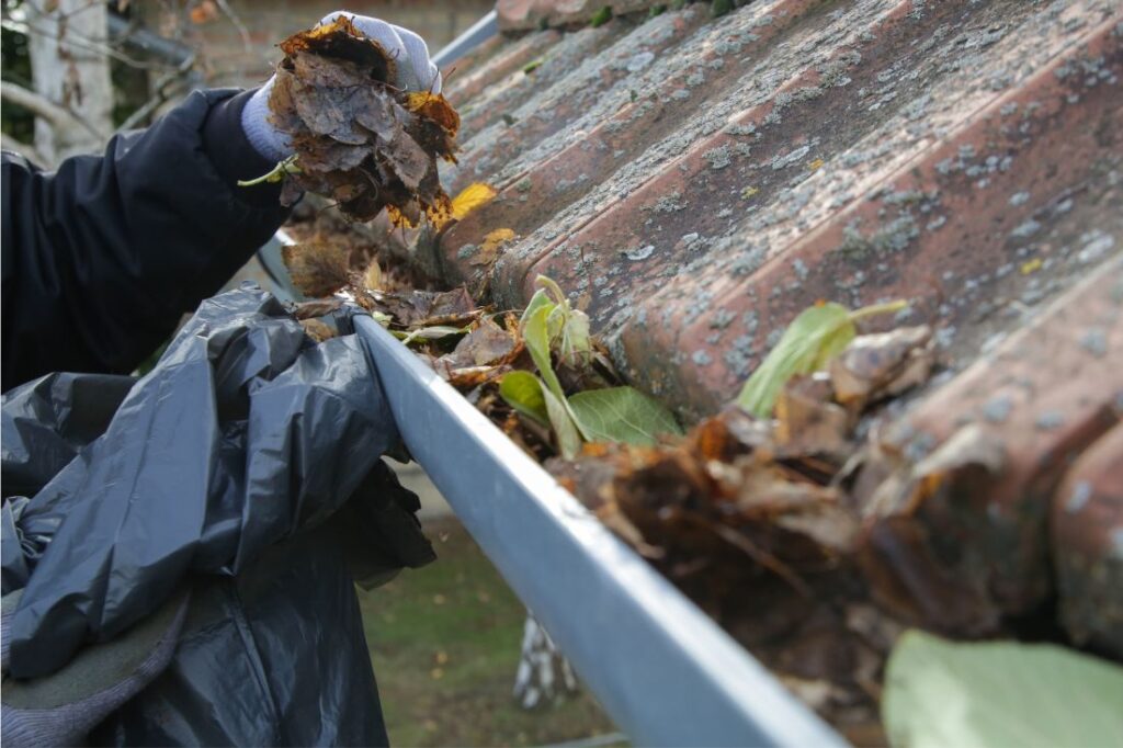 Gutter Cleaning Islington