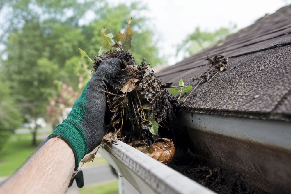 gutter cleaners